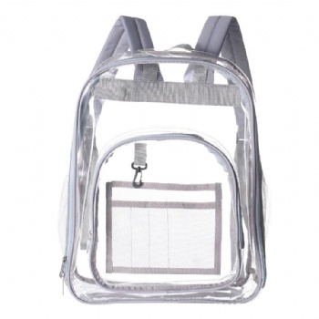 Transparent Backpack