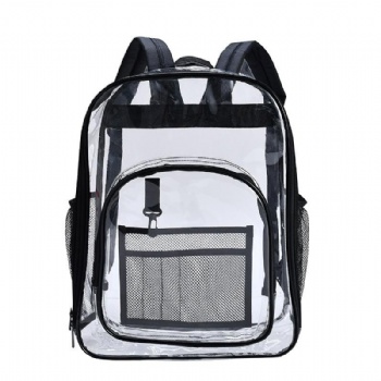 Transparent Backpack